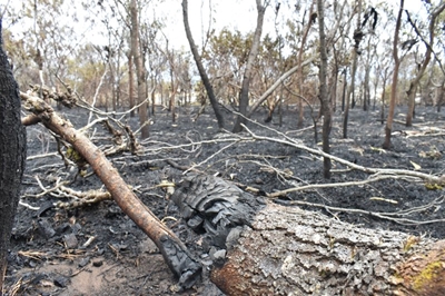 Three fires extinguished in Mossel Bay
