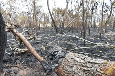 Three fires extinguished in Mossel Bay