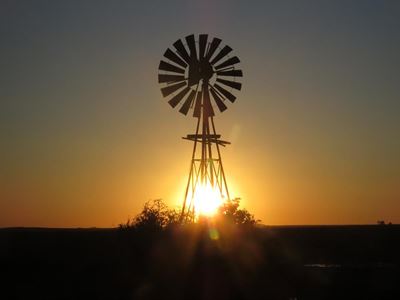 Tourism chief expects busy season