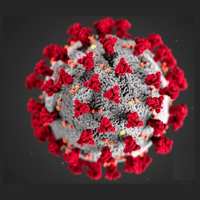 Update on the coronavirus and vaccines by Premier Alan Winde