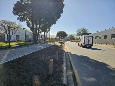 Pavement posts cause dilemma for businesses