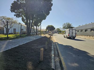Pavement posts cause dilemma for businesses