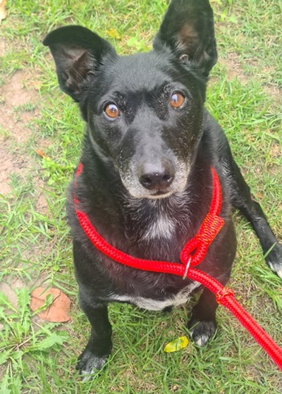 Fix needs a home...again 
