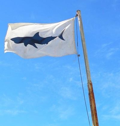 Shark warning on Plett beaches