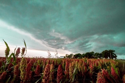 Below-average rainfall spells tough season ahead for Western Cape