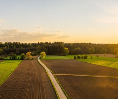 Farmers have to take charge of rural safety