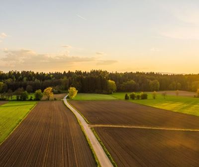 Farmers have to take charge of rural safety