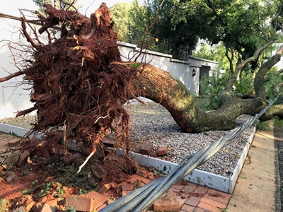 Phalatse requests load shedding reprieve as City Power drowns in outages