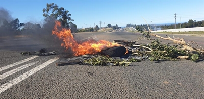 'Bitou protest was illegal'