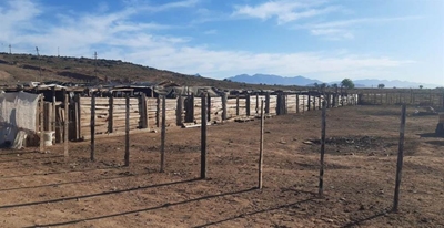 Boere gebuk onder diefstal