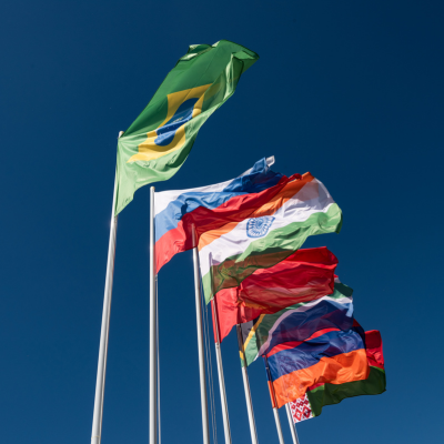 BRICS young leaders urged to ensure basic socio-economic security