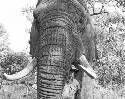 Botswana elephant sanctuary owner dies after being trampled in the wild