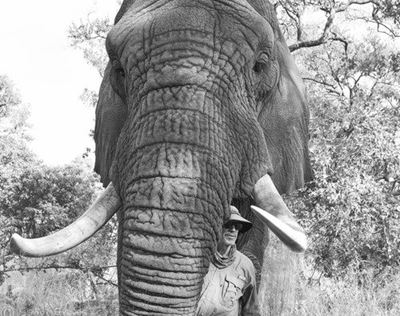 Botswana elephant sanctuary owner dies after being trampled in the wild