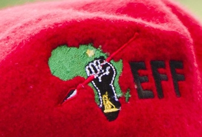 Parent assaulted as EFF members protest