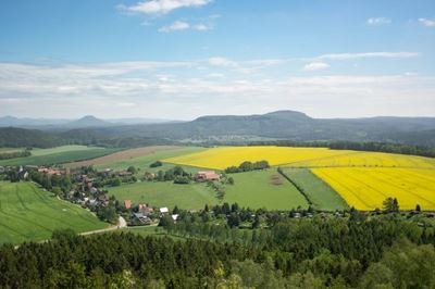 No food imports needed to feed Europe by 2050 study suggests