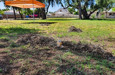 AfriForum help met opknappingswerk