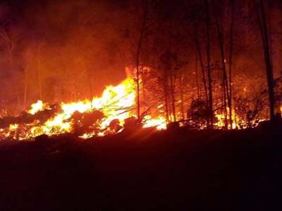 Crags firefighters battle Tsitsikamma blaze 