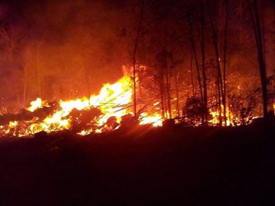 Crags firefighters battle Tsitsikamma blaze 