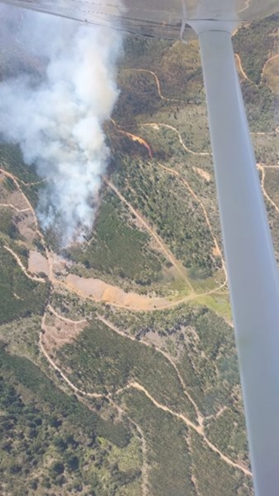 Wittedrift fire contained