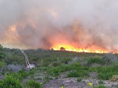 30 Byekorwe in brand verwoes