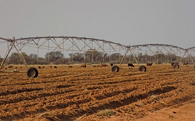 Another recession looming for SA
