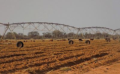 Another recession looming for SA