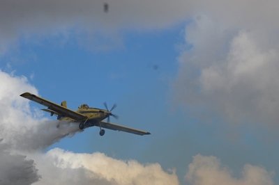 Update on Albertinia wildfire