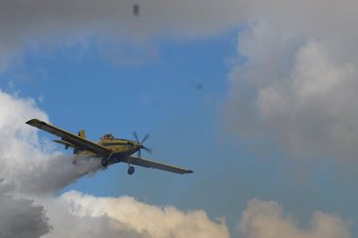 Update on Albertinia wildfire