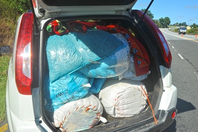 Opvolg: Dwelmsmouse op N2 vasgetrek
