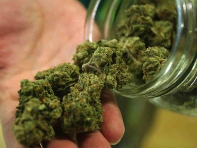 Medisinale dagga oop vir kommentaar