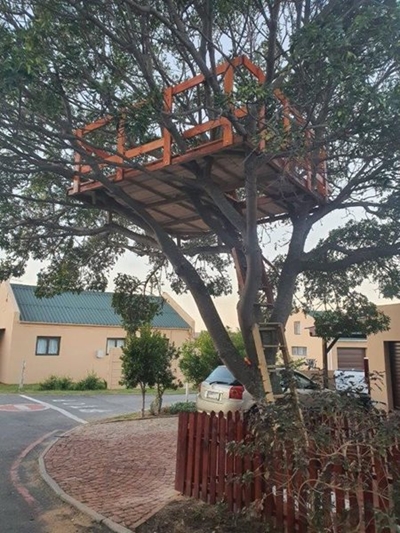 Die storie van die boomhuis