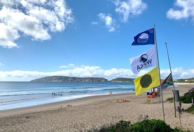 Plett dominates GR Blue Flag race