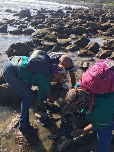 Eienaardige vonds op Diasstrand gevind