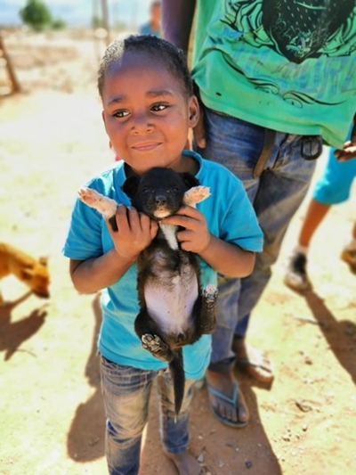 Help the SPCA to feed pets in need