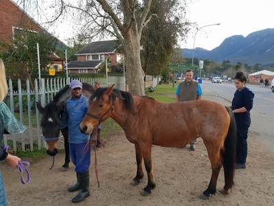 2 mans vas vir Blanco-perdediefstal