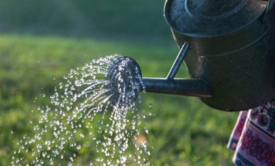How to reduce your water usage
