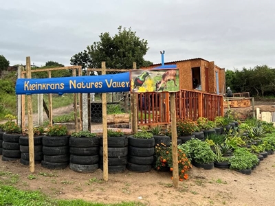 Woman seriously injured in pack dog attack