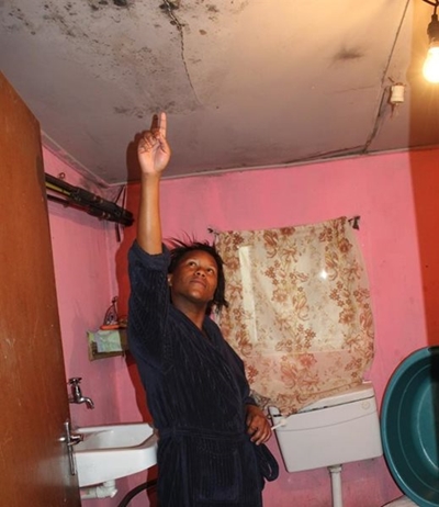 High hopes for Hornlee toilets still going down the drain