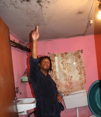 High hopes for Hornlee toilets still going down the drain