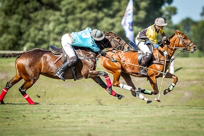 Polo champs bring talent, funds to Plett