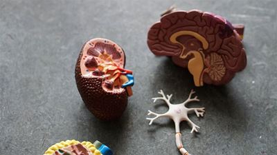 Share your spare on World Kidney Day 