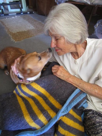 Animals also receive gifts
