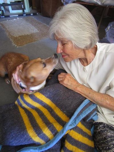 Animals also receive gifts