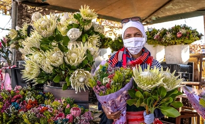 Bekende blommestalletjie weer oop 