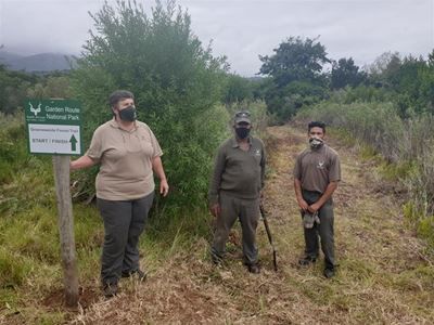 New entrance for hikers to Groeneweide forest opens this weekend
