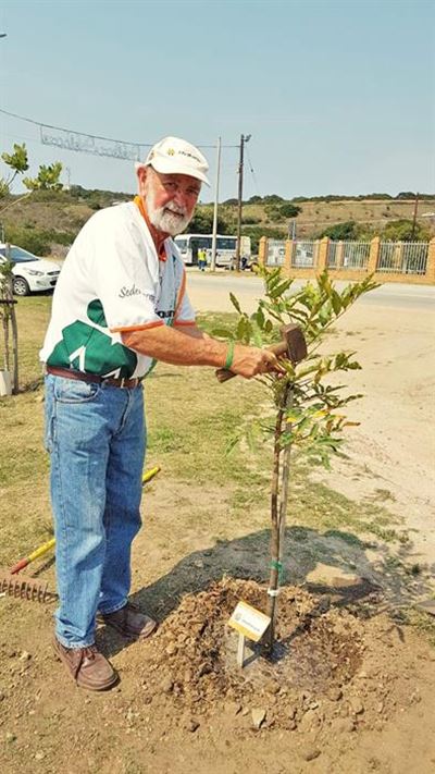 Bome verfraai Groot Brak
