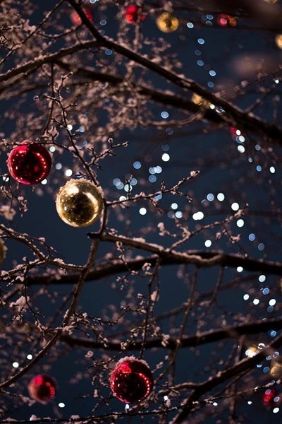 Trade applications for the George Lights Festival now open