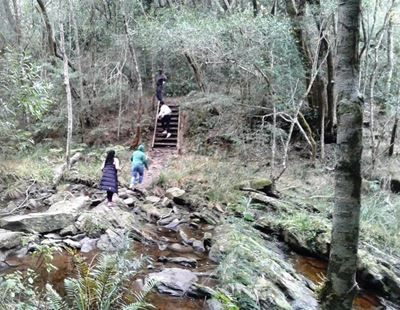 Tourists mugged on Wilderness hiking trail