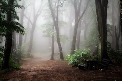 Ghost story won't rest