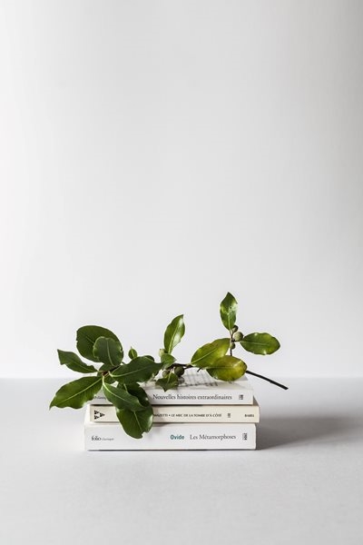 What are you reading? 